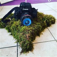 Camera