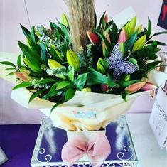 Lily Extravaganza