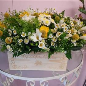 fwthumbreceived_1445167099188484.jpg